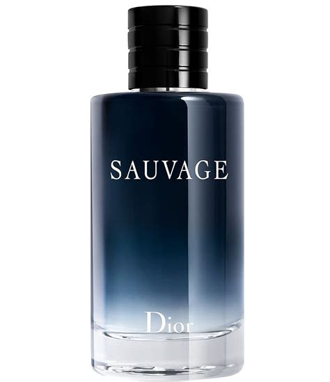 men's cologne at dillards